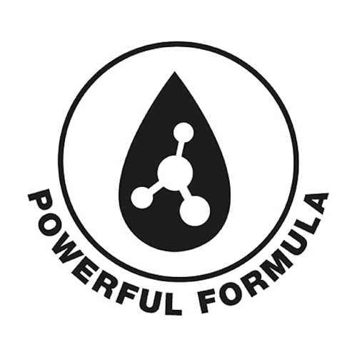 Holts - Limpiador Frenos 600ml (x6...