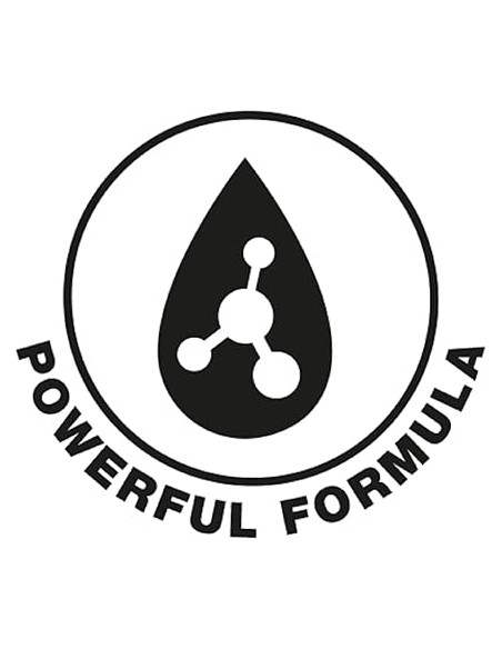 copy of Holts - nettoyant de freins 600ml (x12 Unites Pack Special)