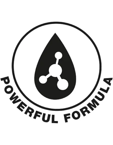 Holts - nettoyant de freins 5L