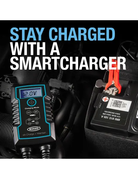 Cargador de baterías inteligente 4A