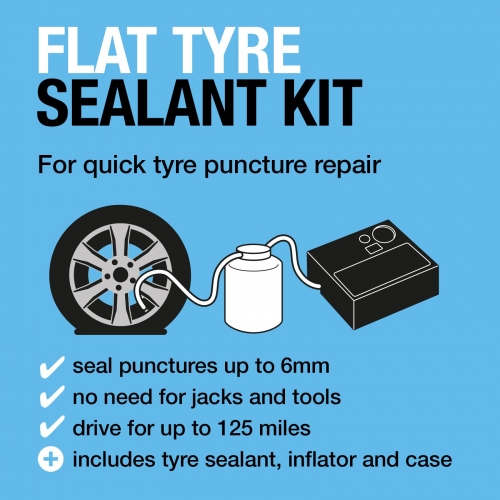 Flat Tyre Repair Kit 450ml 12V