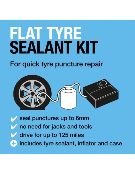 Flat Tyre Repair Kit 450ml 12V