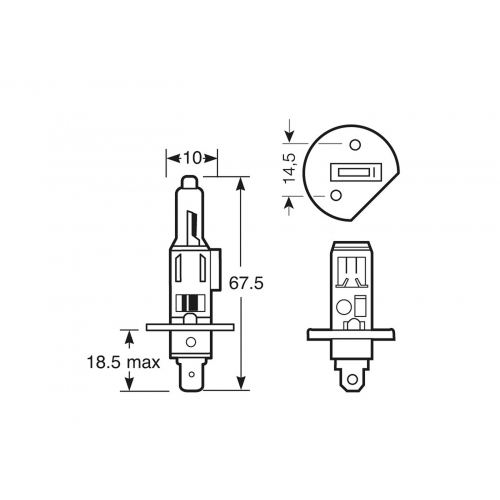 12V H1 LAMPARA HALOGENA