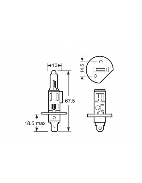 12V H1 LAMPARA HALOGENA